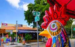 In the year 2015, Little Havana was included in the National Trust for Historic Preservation's annual list of 11 Most Endangered Places. It has the hi